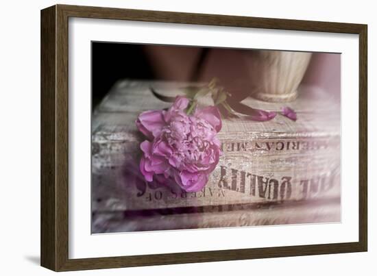 Peony-Valda Bailey-Framed Photographic Print