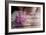 Peony-Valda Bailey-Framed Photographic Print