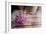 Peony-Valda Bailey-Framed Photographic Print