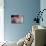 Peony-Valda Bailey-Premium Photographic Print displayed on a wall