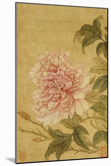 Peony-Yun Shouping-Mounted Giclee Print