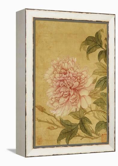 Peony-Yun Shouping-Framed Premier Image Canvas