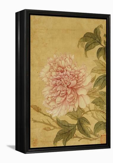 Peony-Yun Shouping-Framed Premier Image Canvas