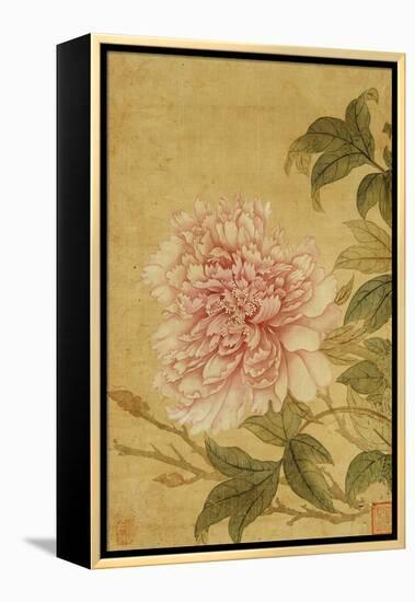 Peony-Yun Shouping-Framed Premier Image Canvas
