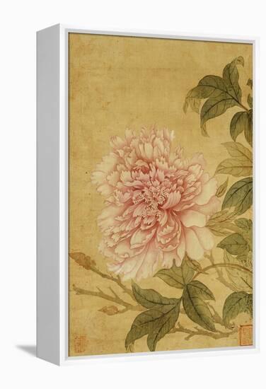 Peony-Yun Shouping-Framed Premier Image Canvas