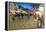 People at Christmas Market, Haupt Square, Schladming, Steiemark, Austria, Europe-Richard Nebesky-Framed Premier Image Canvas