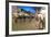 People at Christmas Market, Haupt Square, Schladming, Steiemark, Austria, Europe-Richard Nebesky-Framed Photographic Print