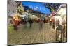 People at Christmas Market, Haupt Square, Schladming, Steiemark, Austria, Europe-Richard Nebesky-Mounted Photographic Print