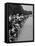 People at Civil Rights Rally Soaking their Feet in the Reflecting Pool at the Washington Monument-John Dominis-Framed Premier Image Canvas