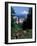 People at the Washington Park Rose Test Gardens with Mt Hood, Portland, Oregon, USA-Janis Miglavs-Framed Photographic Print