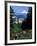 People at the Washington Park Rose Test Gardens with Mt Hood, Portland, Oregon, USA-Janis Miglavs-Framed Photographic Print