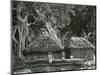 People, Building, Trees, c. 1975-Brett Weston-Mounted Photographic Print