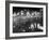 People Celebrating the Independence of Ireland on O'Connell Bridge before Midnight on Easter Sunday-Larry Burrows-Framed Photographic Print