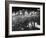 People Celebrating the Independence of Ireland on O'Connell Bridge before Midnight on Easter Sunday-Larry Burrows-Framed Photographic Print