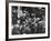 People Crowding the Stock Exchange Building-Charles E^ Steinheimer-Framed Photographic Print