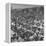 People Crowding the Tel Aviv Beach on a Saturday Morning-null-Framed Premier Image Canvas