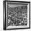 People Crowding the Tel Aviv Beach on a Saturday Morning-null-Framed Photographic Print