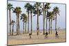 People Cycling the South Bay Cycle Route in the Town of Santa Monica Near Los Angeles-null-Mounted Photographic Print