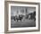 People Dancing in Central Park-Leonard Mccombe-Framed Photographic Print