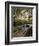 People Enjoy an Autumn Walk in St James's Park in Autumn-Julian Love-Framed Photographic Print