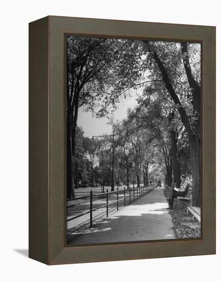 People Enjoying Sunny Day at Park on Ocean Parkway-Ed Clark-Framed Premier Image Canvas