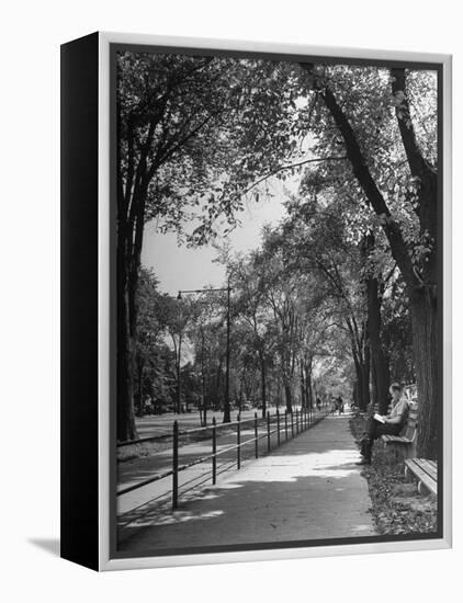 People Enjoying Sunny Day at Park on Ocean Parkway-Ed Clark-Framed Premier Image Canvas