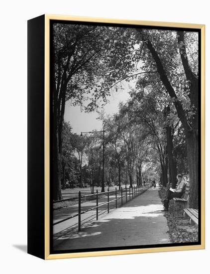 People Enjoying Sunny Day at Park on Ocean Parkway-Ed Clark-Framed Premier Image Canvas