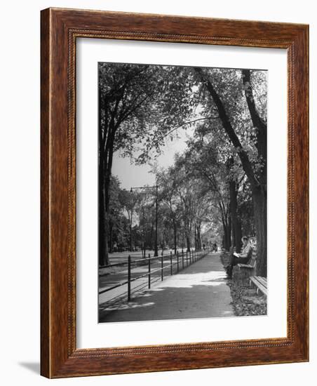 People Enjoying Sunny Day at Park on Ocean Parkway-Ed Clark-Framed Photographic Print