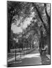 People Enjoying Sunny Day at Park on Ocean Parkway-Ed Clark-Mounted Photographic Print