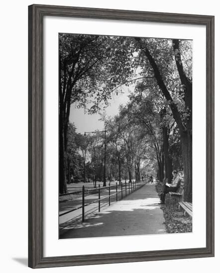 People Enjoying Sunny Day at Park on Ocean Parkway-Ed Clark-Framed Photographic Print