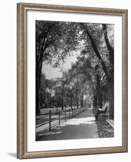 People Enjoying Sunny Day at Park on Ocean Parkway-Ed Clark-Framed Photographic Print