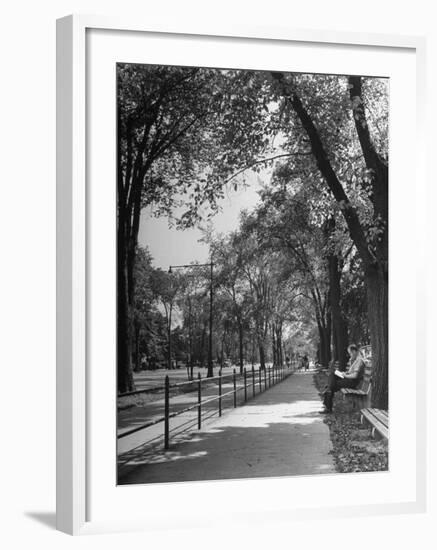 People Enjoying Sunny Day at Park on Ocean Parkway-Ed Clark-Framed Photographic Print