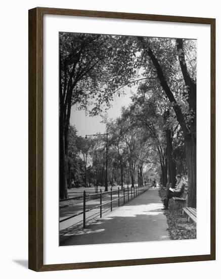 People Enjoying Sunny Day at Park on Ocean Parkway-Ed Clark-Framed Photographic Print