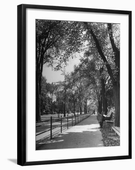 People Enjoying Sunny Day at Park on Ocean Parkway-Ed Clark-Framed Photographic Print