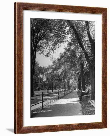 People Enjoying Sunny Day at Park on Ocean Parkway-Ed Clark-Framed Photographic Print