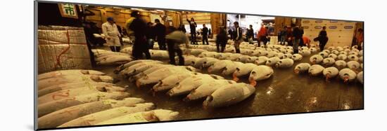 People Examining Tuna in a Fish Auction, Tsukiji Fish Market, Tsukiji, Tokyo Prefecture-null-Mounted Photographic Print