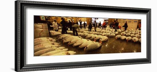 People Examining Tuna in a Fish Auction, Tsukiji Fish Market, Tsukiji, Tokyo Prefecture-null-Framed Photographic Print