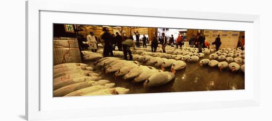 People Examining Tuna in a Fish Auction, Tsukiji Fish Market, Tsukiji, Tokyo Prefecture--Framed Photographic Print