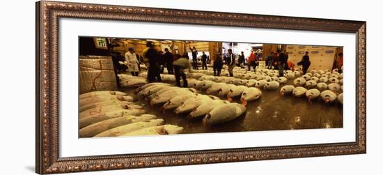 People Examining Tuna in a Fish Auction, Tsukiji Fish Market, Tsukiji, Tokyo Prefecture-null-Framed Photographic Print