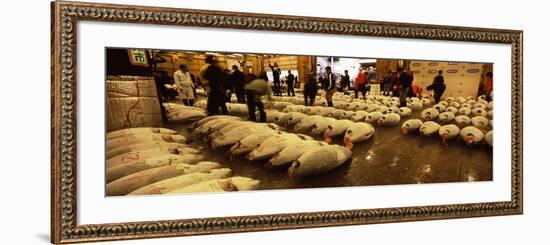 People Examining Tuna in a Fish Auction, Tsukiji Fish Market, Tsukiji, Tokyo Prefecture-null-Framed Photographic Print