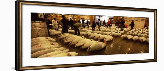 People Examining Tuna in a Fish Auction, Tsukiji Fish Market, Tsukiji, Tokyo Prefecture--Framed Photographic Print