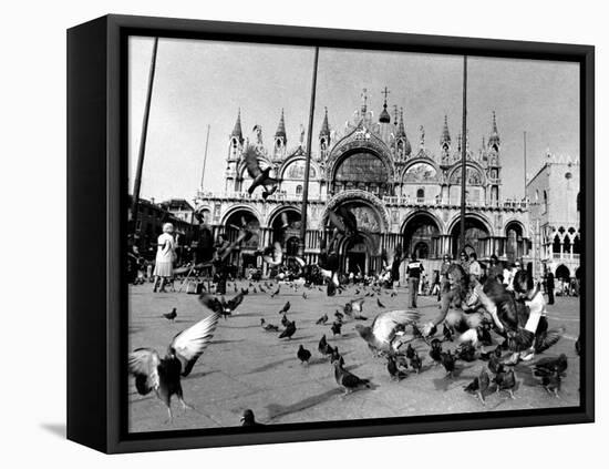 People Feed Pigeons at Saint Marks Square-null-Framed Premier Image Canvas