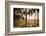 People, Flamengo Beach, Rio De Janeiro, Brazil, South America-Ian Trower-Framed Photographic Print