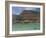 People Floating in the Sea and Hyatt Hotel and Desert Cliffs in Background, Dead Sea, Middle East-Eitan Simanor-Framed Photographic Print