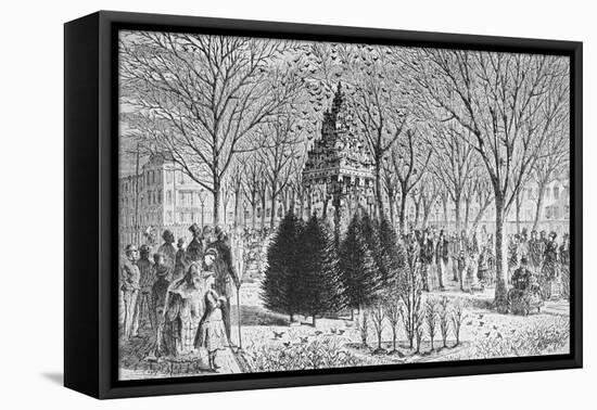 People Gathering around Bird Houses at Madison Park-null-Framed Premier Image Canvas