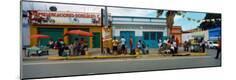 Photographic Print