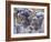 People in Carnival Costume, Venice, Veneto, Italy-Roy Rainford-Framed Photographic Print