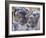 People in Carnival Costume, Venice, Veneto, Italy-Roy Rainford-Framed Photographic Print