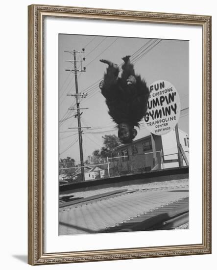 People Jumping on Trampolines-Ralph Crane-Framed Photographic Print