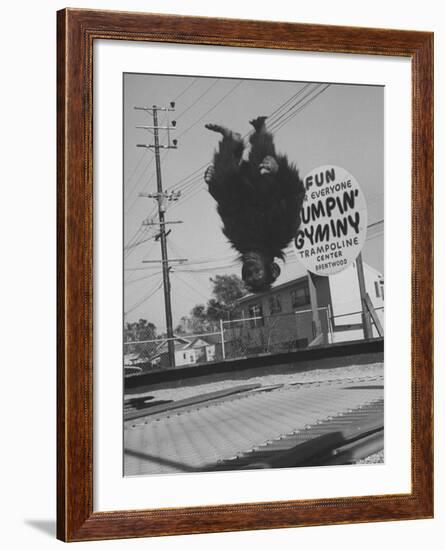 People Jumping on Trampolines-Ralph Crane-Framed Photographic Print